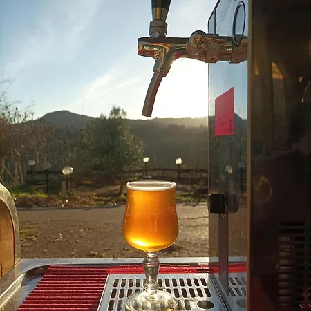 Brasserie Des Paloufettes - Classe 3 Etoiles Prázdninový dům