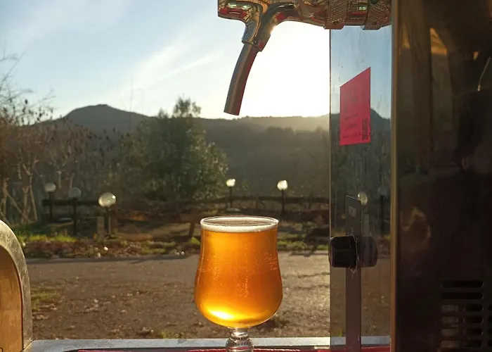 Brasserie Des Paloufettes - Classé 3 étoiles Hébergement de vacances